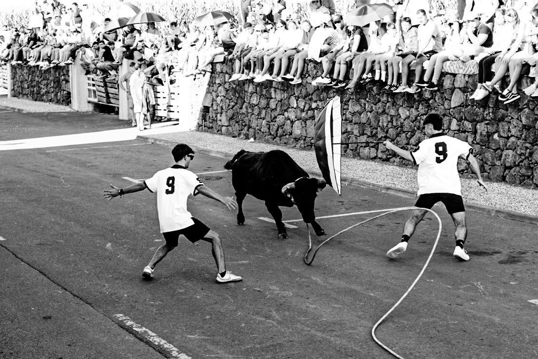 TouroByCorey0220 (Açores) Polo