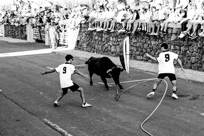 TouroByCorey0220 (Açores) Polo